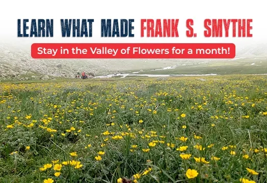 Valley of Flowers - A Tail of Discovery | Valley of Flowers Trek